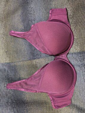 Curvy Couture Intimates Mesh Purple Padded Wired 40C Bra
